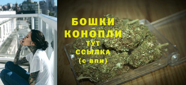 СК Богородск